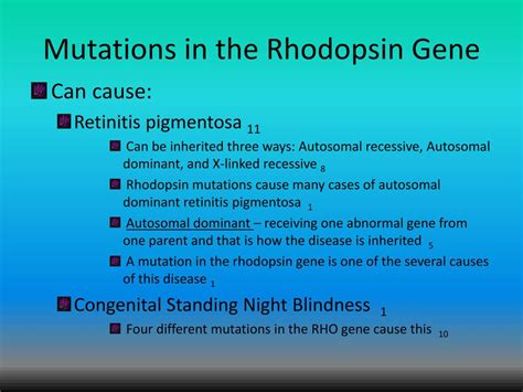 PPT - Rhodopsin PowerPoint Presentation, free download - ID:1871143