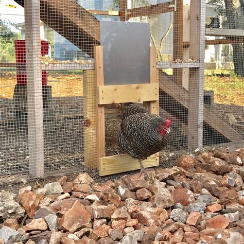 Automatic Chicken Coop Door Opener • THE BLUEBONNET HOMESTEAD