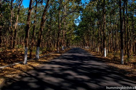 Amarkantak, a pilgrimage of clouds Amarkantak, Madhya Pradesh, India ...