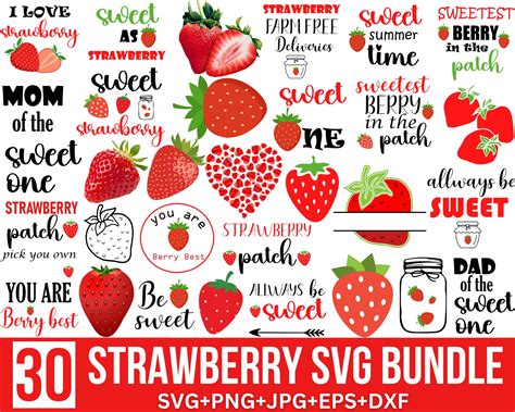 Strawberry Svg Bundle Strawberry Svg Berry Svg Strawberry Etsy Canada
