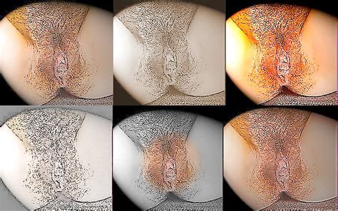 Perfect Hairy Pussy Porn Pictures XXX Photos Sex Images PICTOA