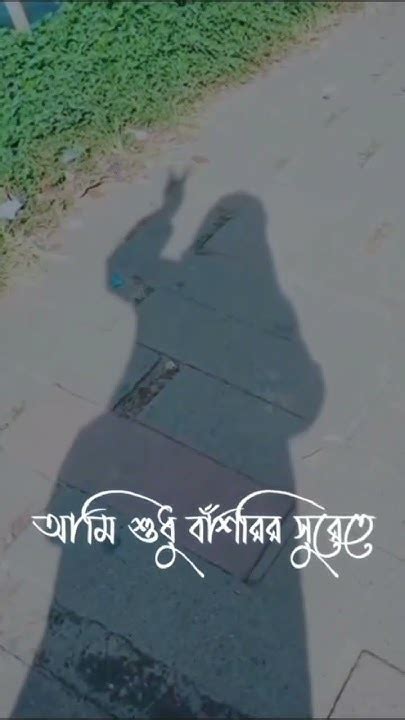 এই ছেড়ে যাওয়ার যুগে আমি তোমার হয়ে থাকার জন্য কতই না ছ ট ফ ট করি । ইস তুমি যদি তা বুঝতা 🖤🥀