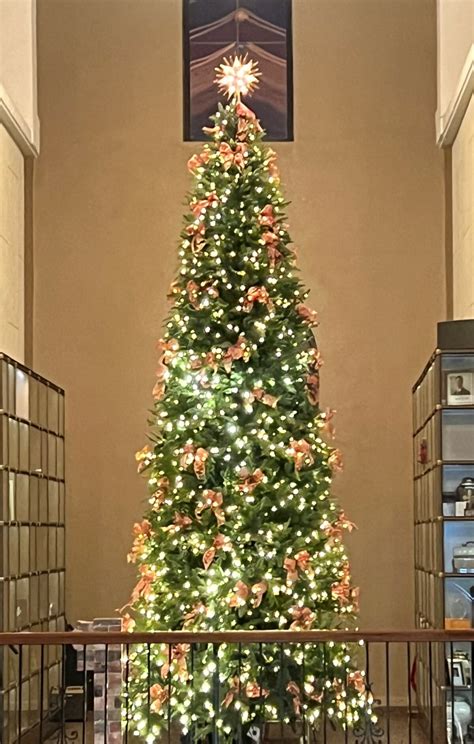 A ghost story at St Michael's Cemetery has a surprising twist 11