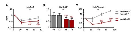 NR0B2 Overexpression Inhibits HCV Replication In Different Settings