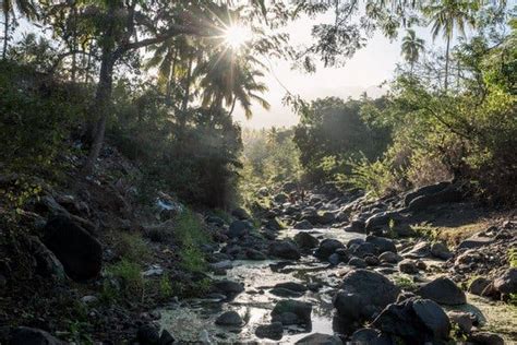 ‘theres No More Water Climate Change On A Drying Island The New