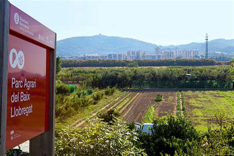 El AMB Entra A Formar Parte Del Consorci Del Parc Agrari Y De Los