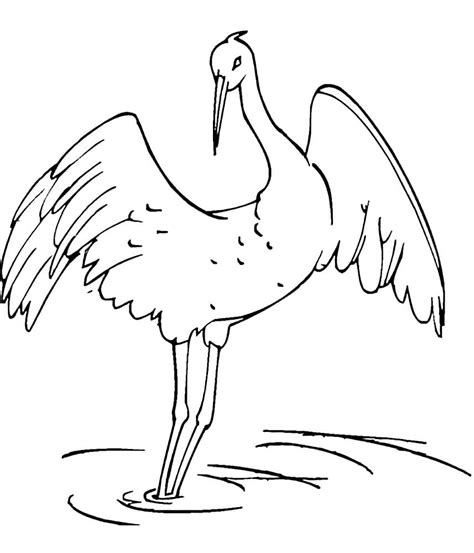 Раскраска Журавль 🍀. Скачать разукрашку бесплатно