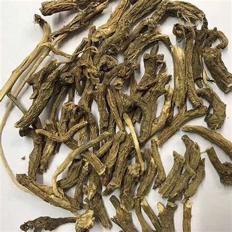 Dandelion Roots Singhparni Jadd Taraxacum Officinale Organic