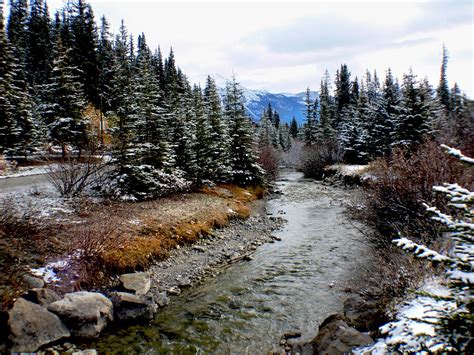 Bow River Alberta. | The Bow River is a river in the Canadia… | Flickr