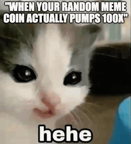 meme gifs  share gifdbcom