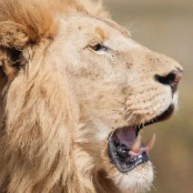 My First BBW Lover Homemade Porn XHamster