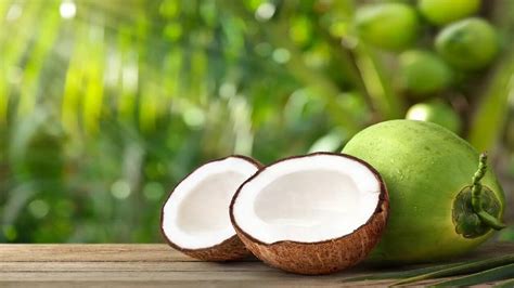 dry coconut benefits  side effects  hindi  margaret meldrum blog