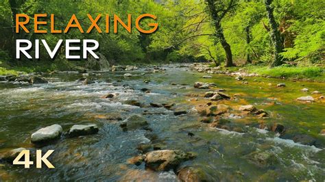 K Relaxing River Ultra Hd Nature Video Water Stream Birdsong