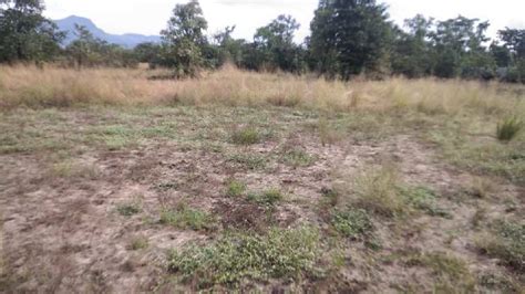 Agricultural Land 10 Acre For Sale In Mangaon Raigad REI1005211