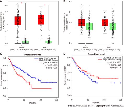 Forkhead Box Q Promotes Invasion And Metastasis In Colorectal Cancer