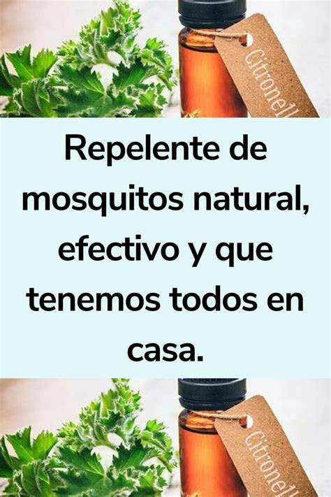 Repelente De Mosquitos Natural Efectivo Y Que Tenemos Todos En Casa