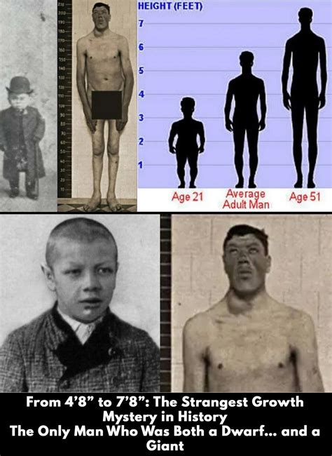 The unexpected history of how koger became a tech giant 1