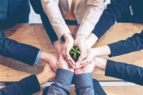 5 Ways To Foster Wellness Within Your Business Cc Wellness