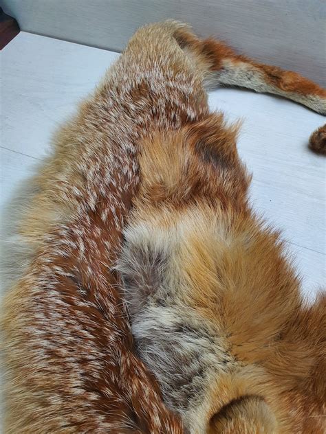 Vintage Fox Fur Scarf Drape Stole Wrap Collar Shawl Neck Warmer Tippet