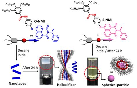 纳米人 Jacs：异质晶种效应在超分子共聚和嵌段星形共聚物中的路径复杂性