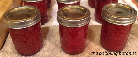 Strawberry Jam With Liquid Pectin The Babbling Botanist