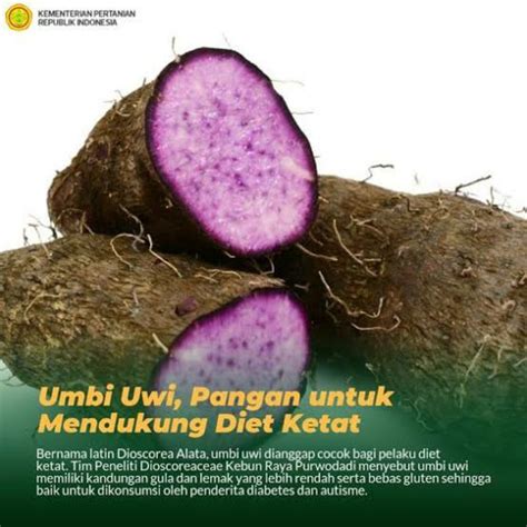 jual umbi uwi putih umbi uwi ungu  kg shopee indonesia