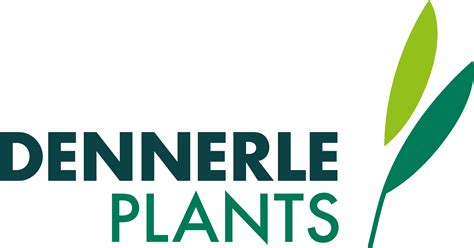 Dennerle Plants GmbH - JPS Marselis