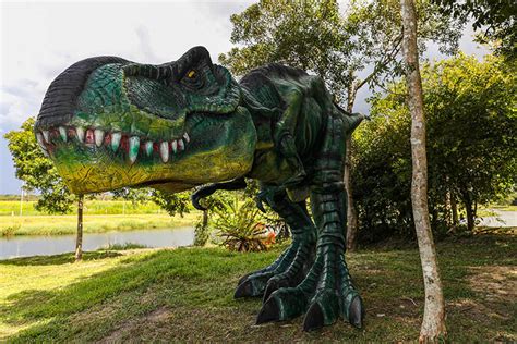 Anivers Rio De Pinhais Ter Nova Edi O Do Parque Dos Dinossauros Bem