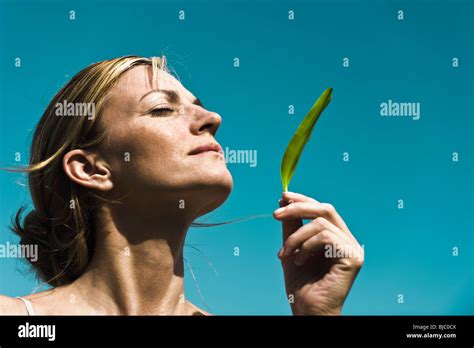 Fresh scent of nature Stock Photo - Alamy