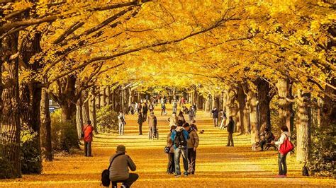 3 Tori No Ichi Festivals To Celebrate The Coming Of Winter In Tokyo