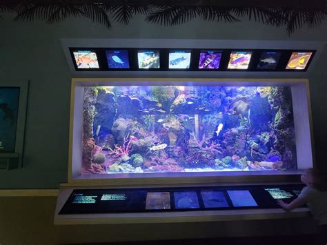 nashville zoo  unseen  world tropical fish tank zoochat