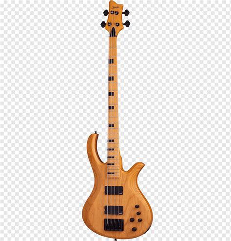 Schecter Guitar Research Бас-гитара Контрабас Струнные инструменты, Бас ...