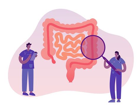 Colorectal Cancer Dioptra Project