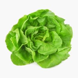 Salată verde eco România 1 buc Prospețime și varietate Freshful ro