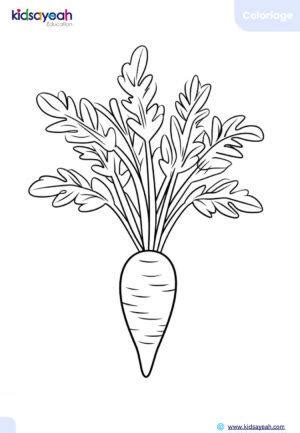 Coloriage de fruits et légumes 12 dessins au format PDF à imprimer