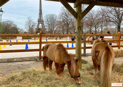 Saut Hermès 2024 au Grand Palais Ephémère à Paris Sortiraparis