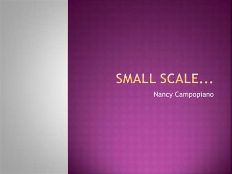 small scale