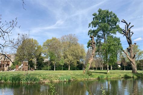 Stadswandeling biodiversiteit in de binnenstad van Weert