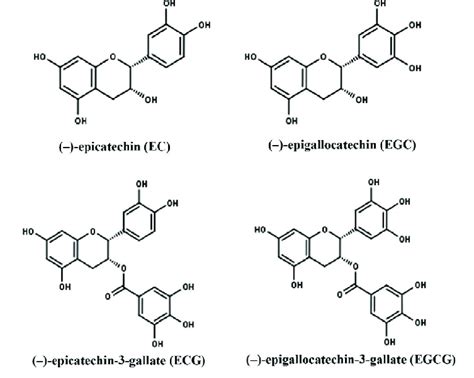 Four Main Catechins In Tea Ec Egc Ecg Egcg Download Scientific