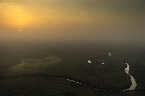 Chinko Partners | African Parks