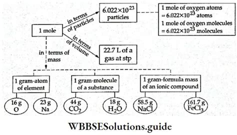 WBCHSE Class 11 Notes For Mole Concept- Formula, Explanations, Examples ...