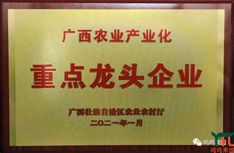 产业兴旺 鸣鸣果园获广西农业产业化重点龙头企业认定！ 集团新闻 广西鸣鸣果园集团