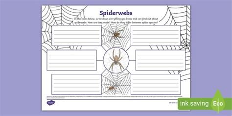 Spiderwebs Mind Map (teacher made) - Twinkl