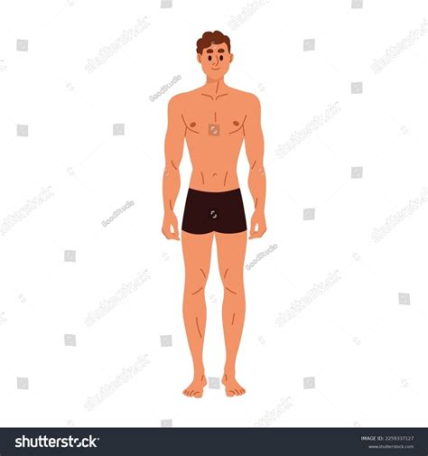 Slim Slender Man Trunks Nude Naked Stock Vector Royalty Free Shutterstock