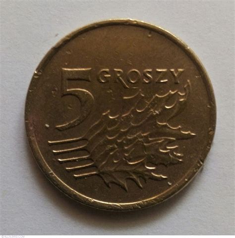 5 Groszy 1991, 1990-2014 Issue - 5 Groszy - Poland - Coin - 11923