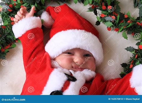 Christmas Grinch stock photo. Image of innocent, festive - 163570810