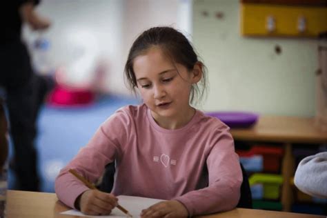 SENCO Census Data Workshops | Wolverhampton Education Services