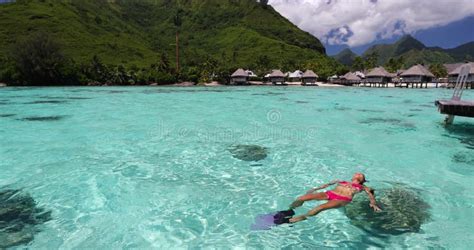 Snorkel Swim And Nude Woman In Tropical Water On Vacation Free Diving On A Sea Adventure