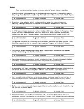 Worksheet Evolution Genetic Drift Bottleneck Founder Effect