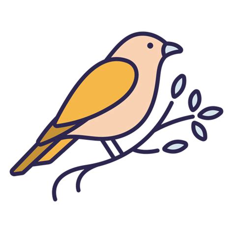 Png Y Svg De Kanarienvogel Con Fondo Transparente Para Descargar